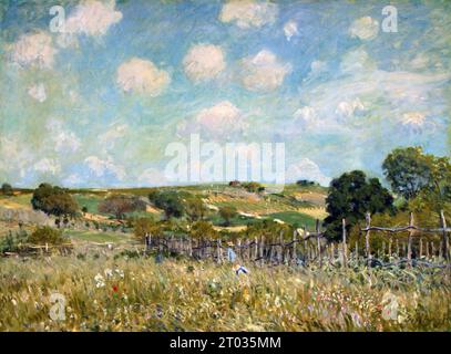 The Meadow (1875), peinture d'Alfred Sisley Banque D'Images