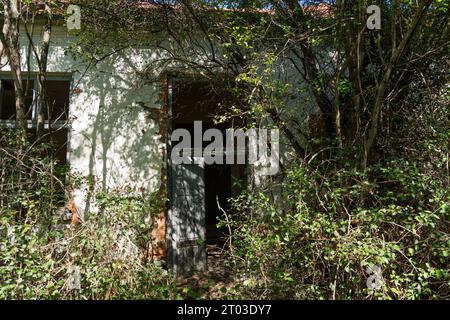 Un bâtiment extrêmement ancien, maintenant en ruines, envahi par une végétation dense un jour d'été. La structure comporte des portes et des fenêtres brisées Banque D'Images