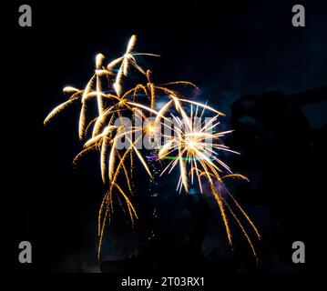 Salmon Run dans la rivière Ganaraska. Port Hope, ONTARIO. Canada Banque D'Images