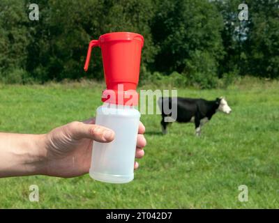 Gobelet de trempage de trayon en plastique pour la désinfection de pis de vache dans la main de l'homme et une vache pâturant dans le champ sur le fond, mise au point sélective Banque D'Images