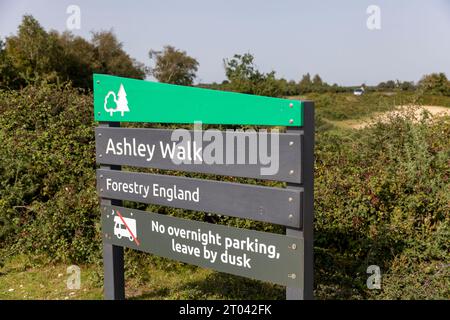 Ashley Walk New Forest Hampshire, près de Godshill est une promenade populaire à travers les landes ouvertes, Hampshire, Angleterre, Royaume-Uni Banque D'Images