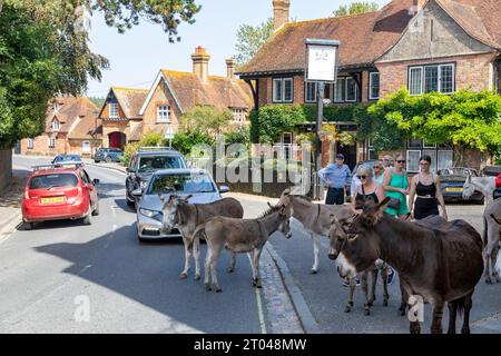 Village de Beraulieu dans la région de Hampshire New Forest, poneys New Forest se promènent à travers le village, Angleterre, Royaume-Uni, 2023 Banque D'Images