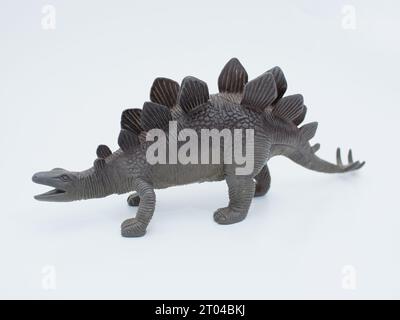 jouet stegosaurus, genre de dinosaure blindé isolé sur fond blanc. vue latérale Banque D'Images