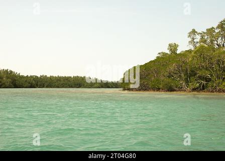 Forêt de mangroves et paysage côtier de l'île Handeuleum, une partie du parc national d'Ujung Kulon à Pandeglang, Banten, Indonésie. « Le parc national d'Ujung Kulon était une réserve faunique, qui a ensuite été étendue à la mer, principalement pour protéger l'écosystème des récifs coralliens dans la région ou comme zone tampon », ont écrit Tonny Soehartono et Ani Mardiastuti dans leur ouvrage de 2014 (gouvernance des parcs nationaux en Indonésie : leçons apprises de sept parcs nationaux). La plupart des parcs nationaux en Indonésie ont été créés dans les années 1980 et 1990 Les zones du parc étaient à l'origine soit des réserves naturelles strictes, soit... Banque D'Images