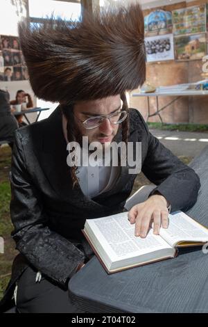 Sur Soukkos, un rabbin orthodoxe portant un chapeau de fourrure shtreimel lit des psaumes assis à l'intérieur d'une Soukkah. Dans le comté de Rockland, New York. Banque D'Images