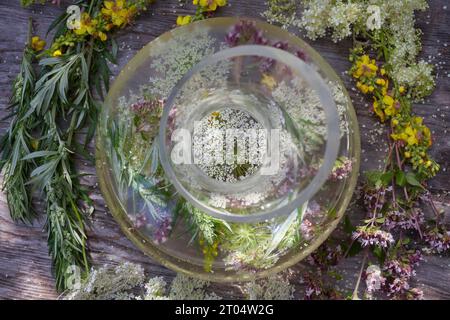 Boisson de fleurs sauvages selfmade dans la vigne blanche ou l'eau, Allemagne Banque D'Images