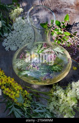 Boisson de fleurs sauvages selfmade dans la vigne blanche ou l'eau, Allemagne Banque D'Images