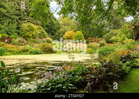 Jardins à Bonython Estate, Helston, Cornouailles, Angleterre Banque D'Images