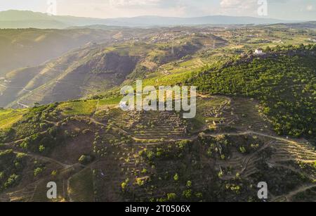 Vue aérienne des pentes de la vallée du fleuve Douro, Portugal Banque D'Images