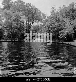 Une vue sur le lac dans l'arboretum Bayard Cutting sur long Island. Cette photographie est tirée d'un album personnel non attribué de photographies d'une croisière à New York datée du 29 juin au 13 août 1956. Départ de Liverpool à bord du navire Cunard M.V. Britannic et retour de New York à Southampton à bord du navire Cunard R.M.S. Queen Mary. La taille moyenne des photographies originales était de 4x3 pouces. Banque D'Images