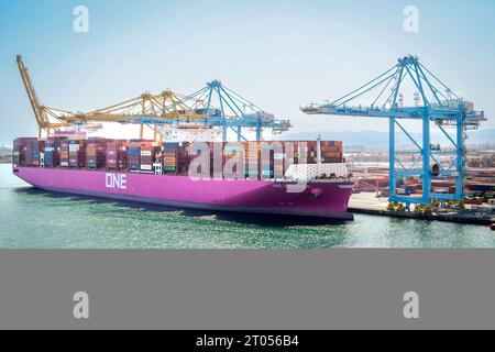Containerschiff ONE Freedom Am Hafen von Barcelona XL-Containerschiff ONE Freedom BJ. 2022, 366 m zu Gast im Hafen von Barcelona. Mit seinen bis zu 15Ö242 Boxen an bord zu den grossen Containerschiffen. DAS Schiff gehoert zur Klasse der Ultra large Container Ships ULCS und ist in der Gruppe der weltweit groessten derzeit eingesetzten Containerschiffe angesiedelt. Barcelona Spanien *** porte-conteneurs ONE Freedom au port de Barcelone XL porte-conteneurs ONE Freedom BJ 2022, 366 m à l'invité au port de Barcelone avec ses boîtes jusqu'à 15Ö242 à bord des grands porte-conteneurs dont le navire fait partie Banque D'Images