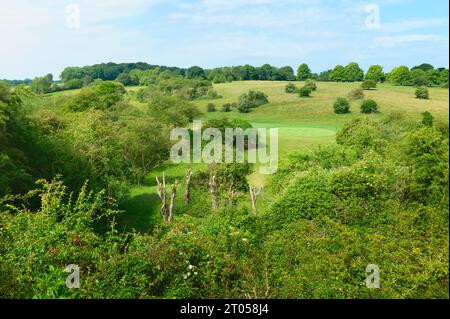 Parc public Westwood et terrain de golf avec vue sur le putting green flanqué de prairies, de bois, sous le ciel bleu pendant la période sèche à Beverley, Royaume-Uni. Banque D'Images