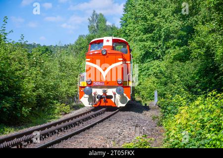 DESNA, TCHÉQUIE - JUILLET 02 : locomotive à crémaillère de la série T426.0, surnommée l'autrichienne, tchèque : Rakusanka, sur le chemin de fer à crémaillère entre Tanvald et Korenov, Tchéquie Banque D'Images