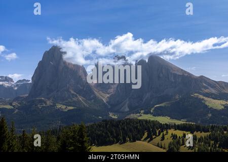 Vue sur Seiser Alm, Alpe di Siusi, sur Langkofel et Plattkofel, Tyrol du Sud Banque D'Images