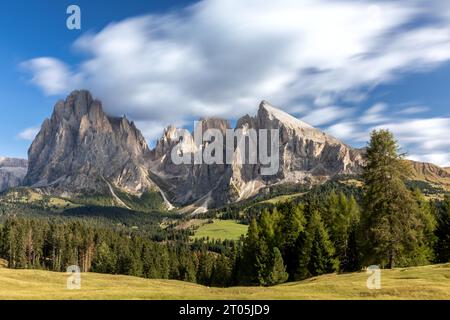 Vue sur Seiser Alm, Alpe di Siusi, sur Langkofel et Plattkofel, Tyrol du Sud Banque D'Images