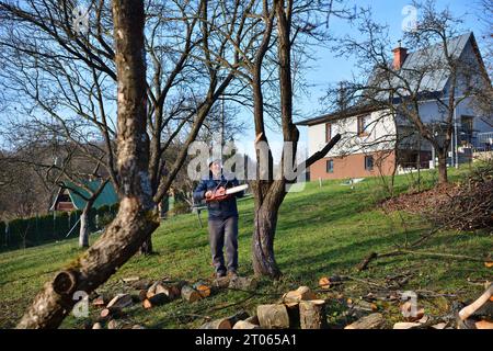 Un jardinier tond les branches d'arbres en hauteur à l'aide d'une tronçonneuse Banque D'Images