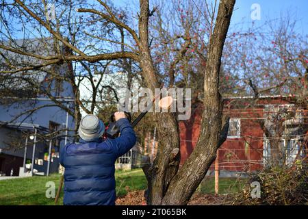 Un jardinier tond les branches d'arbres en hauteur à l'aide d'une tronçonneuse Banque D'Images