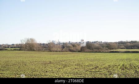 Vue sur Cymbeline Meadows, Colchester, Essex, Royaume-Uni, avec Jumbo The Balkerne Water Tower visible à l'horizon Banque D'Images