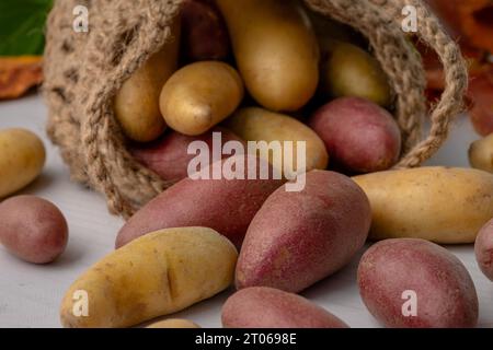 Pommes de terre rouges et jaunes en gros plan. Banque D'Images