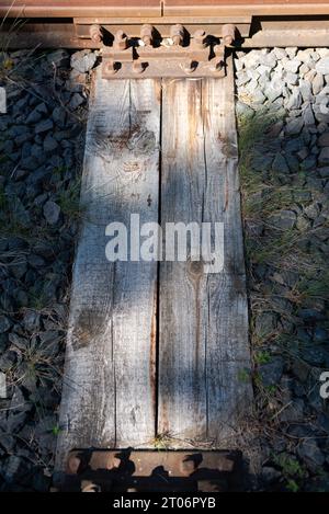 Voies ferrées avec bois de gros plan Banque D'Images