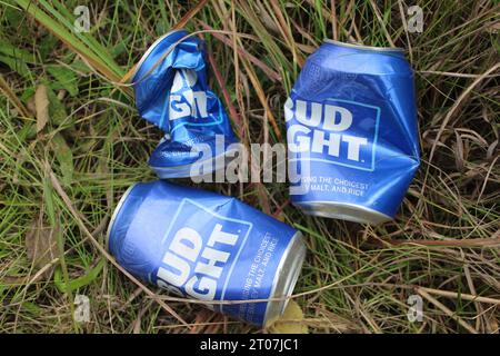 Trois canettes de bière Bud Light bosselées dans l'herbe Banque D'Images