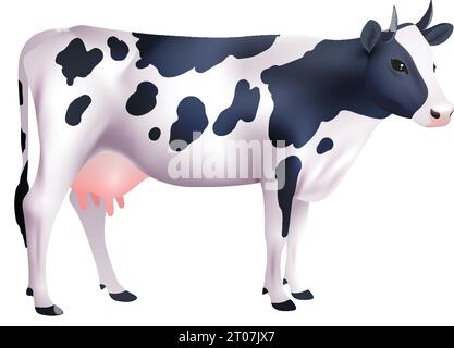 Vache domestique à pois noir et blanc isolée sur fond blanc illustration réaliste de vecteur Illustration de Vecteur