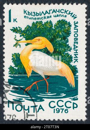 Aigrette de bétail de Тhe (Bubulcus ibis), en russe 'Египетская цапля'. 'Кызылагаджский заповедник' - Réserve d'État de Ghzil-Aghaj, Azerbaïdjan. Timbre-poste émis en URSS en 1976. Banque D'Images