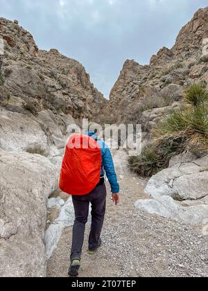 Randonneur à Rain Gear le long de Strawhouse Trail à Big Bend Banque D'Images