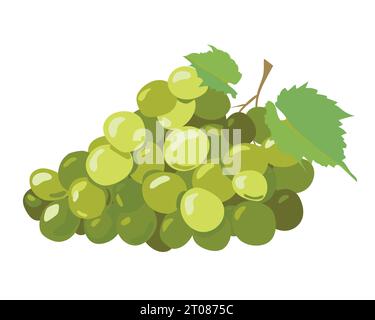 Raisins verts isolés sur fond blanc. Illustration vectorielle dans un style plat. Baies jaunes mûres pour le vin blanc. Emblème pour cave, menu, jus Illustration de Vecteur