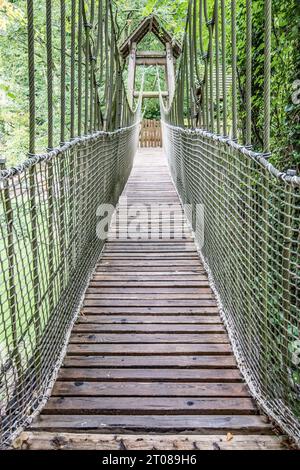 Pont suspendu en corde à l'Alnwick Garden Tree House dans le Northumberland. Banque D'Images