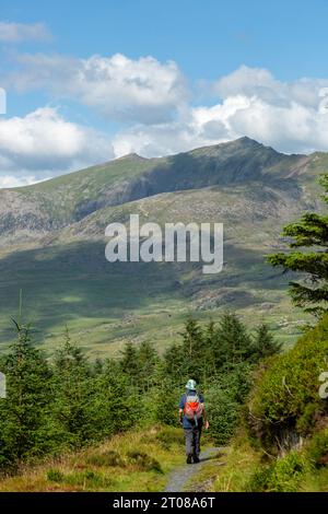 Marcher sur les pentes de y Garn dans le parc national de Snowdonia en regardant vers le sommet de Snowdon yr Wyddfa Banque D'Images