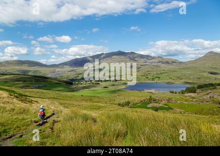 Un marcheur dans le parc national de Snowdonia marchant vers Llyn y Gader avec Snowdon en arrière-plan. Banque D'Images