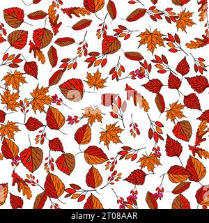 Vector dessin sans couture dessiné à la main de feuilles d'automne de bouleau, chêne, érable, frêne Illustration de Vecteur