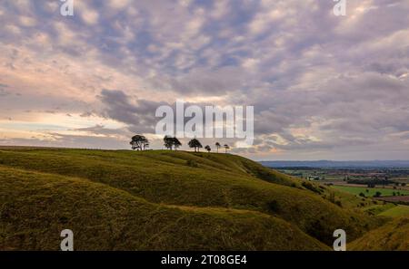 Vue de la Roundway Down Hillfort et escarpement sur le bord du nord Wessex Downs Devizes Wiltshire dans le sud-ouest de l'Angleterre Royaume-Uni Banque D'Images