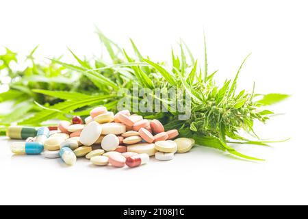Bourgeons de marijuana. Plante de cannabis et pilules isolées sur fond blanc. Banque D'Images