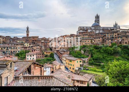 Vue sur la ville de Sienne, vieille ville avec Duomo Santa Maria Assunta et Torre del Mangia, Sienne, Toscane, Italie Banque D'Images