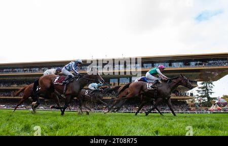 Newmarket, Suffolk, Royaume-Uni, 5 octobre 2023 ; Juddmonte Farms a annoncé aujourd'hui que Qatar Prix de l'Arc de Triomphe 2022 6e et 2023 2e WESTOVER, a été retiré au haras, après avoir subi une blessure de fin de carrière dans le renouvellement de 2023 dimanche dernier. Le fils de Frankel est également finaliste des 2023 King George VI et Queen Elizabeth QIPCO Stakes en juillet 2023. Crédit JTW Equine Images / Alamy Live News. Banque D'Images