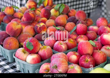 Pommes et pêches fraîchement cueillies à vendre sur un marché extérieur local Banque D'Images