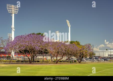 Gold Coast, Queensland, Australie - Jacaranda en fleurs devant le Heritage Bank Stadium Banque D'Images