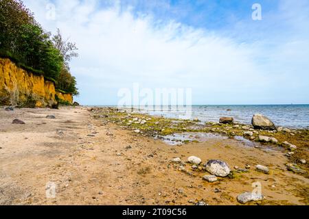 Vue sur la côte escarpée à Gollwitzer Strand. Plage naturelle près de Gollwitz dans la réserve naturelle de l'île de Poel. Paysage à la mer Baltique. Banque D'Images