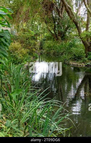 Vue sur le cours de la rivière Bièvre coulant brièvement en plein air dans la ville de Cachan, France Banque D'Images