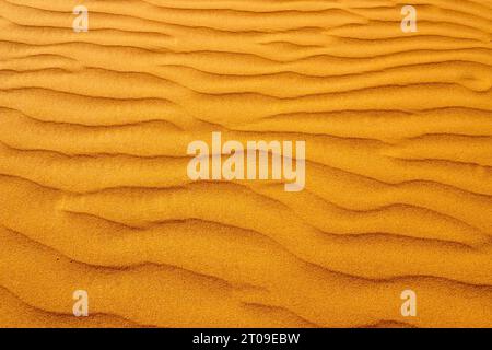 Gros plan surface de sable ondulé sur dune dans le désert aride Banque D'Images