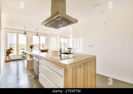 Intérieur de cuisine contemporaine avec grand îlot et évier dans un appartement spacieux avec des murs blancs et des fenêtres Banque D'Images