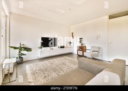 Intérieur de salon spacieux avec canapé et télévision à la maison contemporaine avec murs blancs Banque D'Images