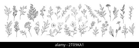Ensemble de minuscules fleurs sauvages et de plantes au trait d'art. Illustration de Vecteur