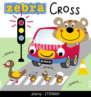 Tigre mignon sur la voiture drôle, la famille de canard traversant la route au feu de stop sur, illustration de dessin animé vectoriel Illustration de Vecteur