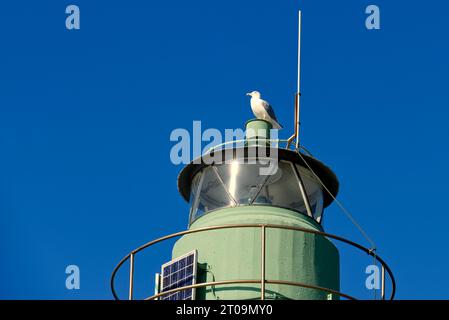 une mouette au sommet d'un phare vert se détache contre un ciel bleu Banque D'Images