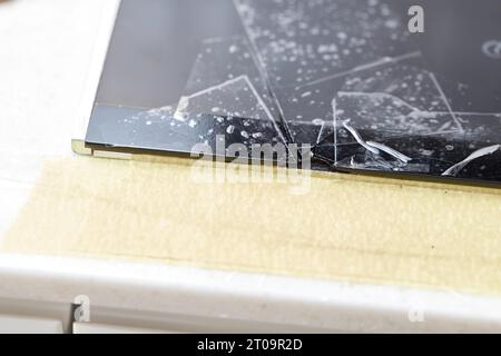 puce sur la surface vitrocéramique du poêle Banque D'Images