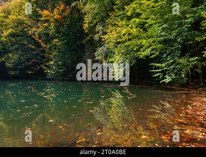 Yedigler, Bolu, Turquie - 23 octobre 2022 : moments d'or au bord de l'eau, chaque feuille est une fleur déguisée, amoureuse des couleurs de l'automne Banque D'Images