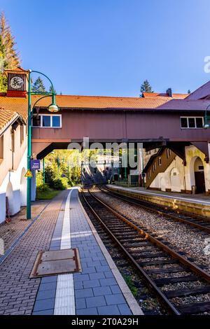 Belle randonnée automnale à travers le Sternengrund entre Zella-Mehlis et Oberhof dans la forêt de Thuringe - Thuringe - Allemagne Banque D'Images